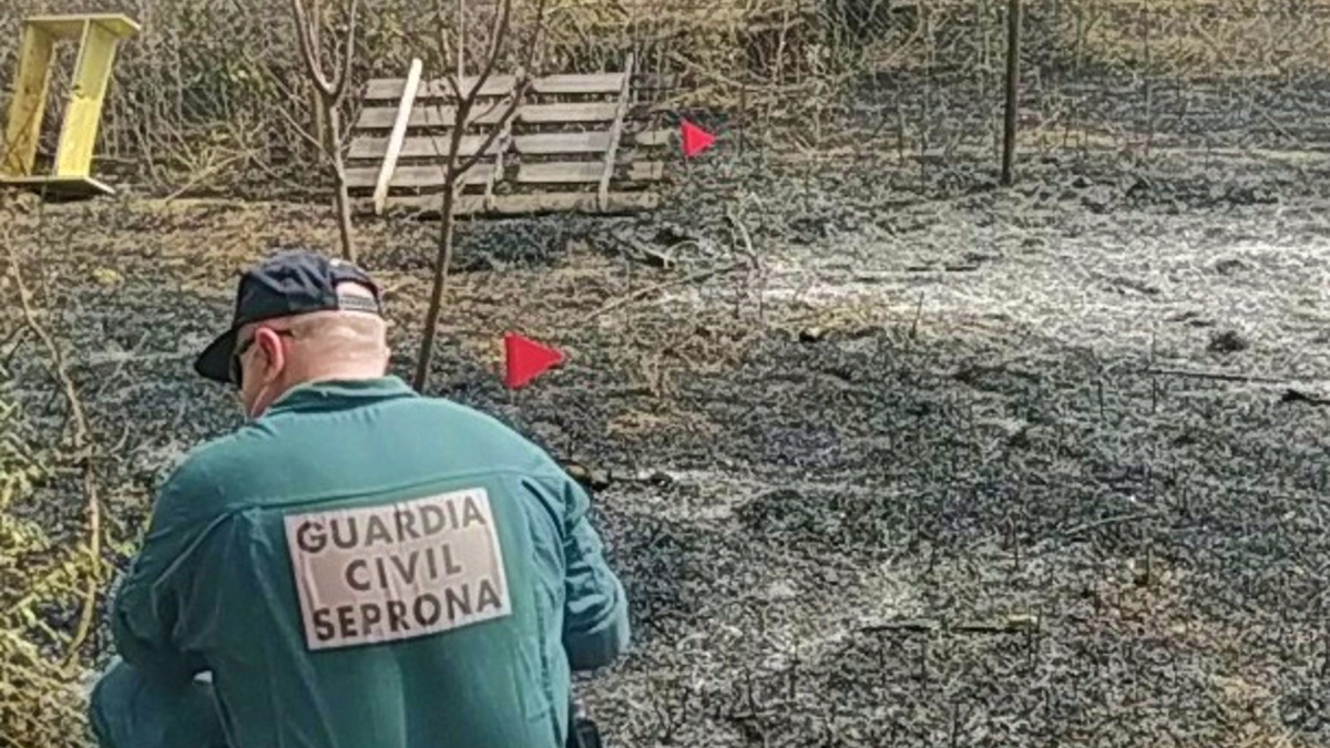 Noticias Castilla-La Mancha