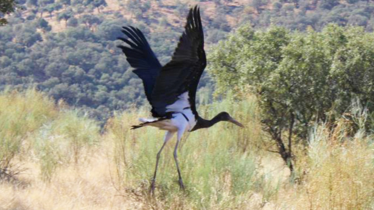 Noticias Castilla-La Mancha