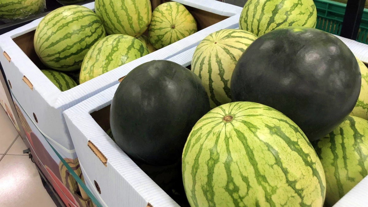 Noticias Castilla-La Mancha