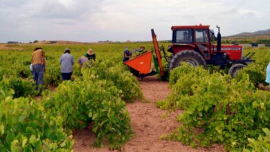 Noticias Castilla-La Mancha