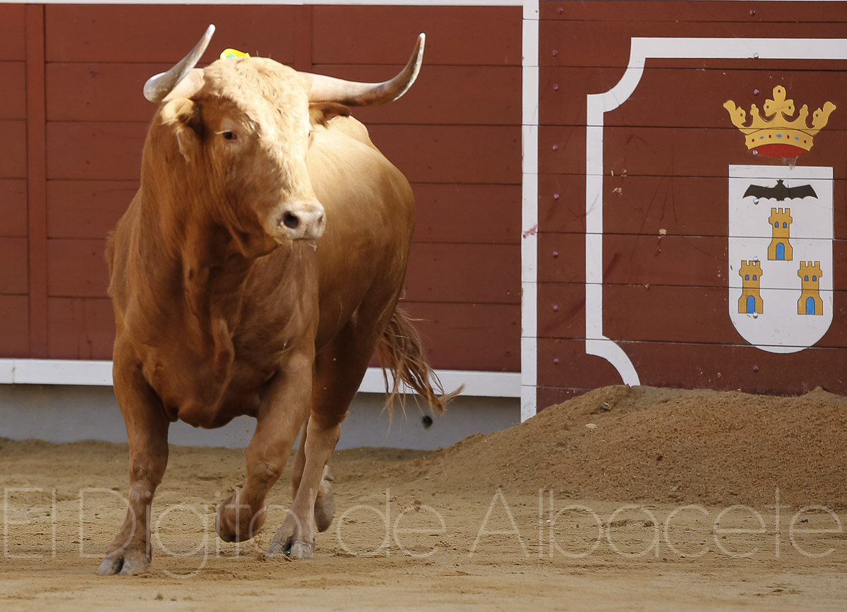 Manzanares abre la primera Puerta Grande de la Feria Taurina de Albacete