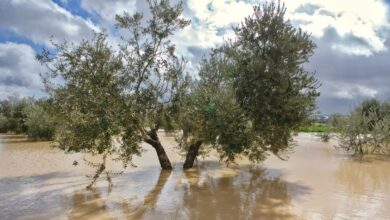 Noticias castilla-la mancha