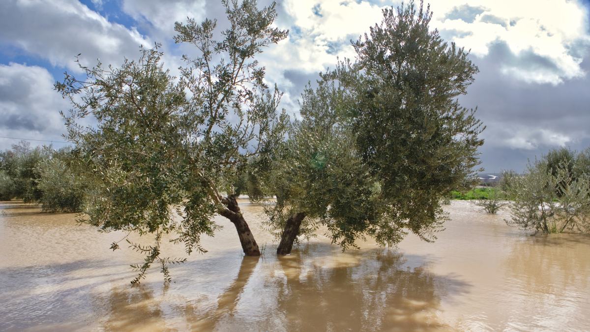 Noticias castilla-la mancha