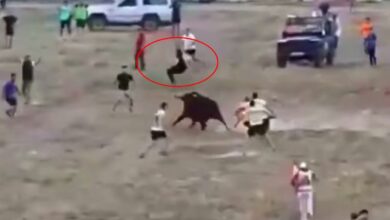 Noticias Castilla-La Mancha