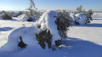 Noticias castilla-la mancha