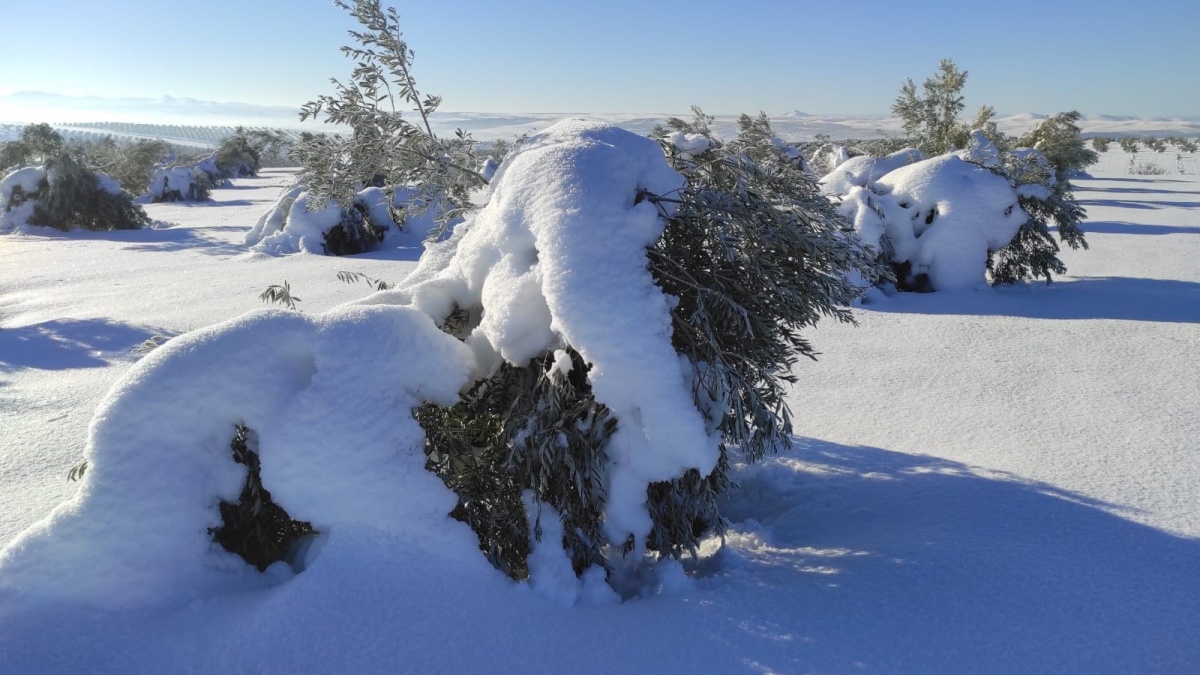 Noticias castilla-la mancha