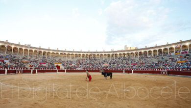 Noticias toros