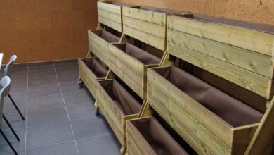 Noticias albacete