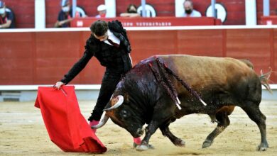 toros albacete