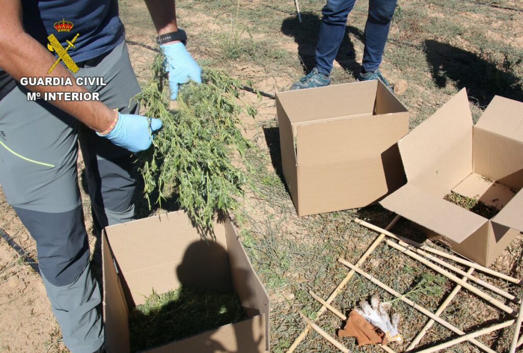 noticias castilla-la mancha