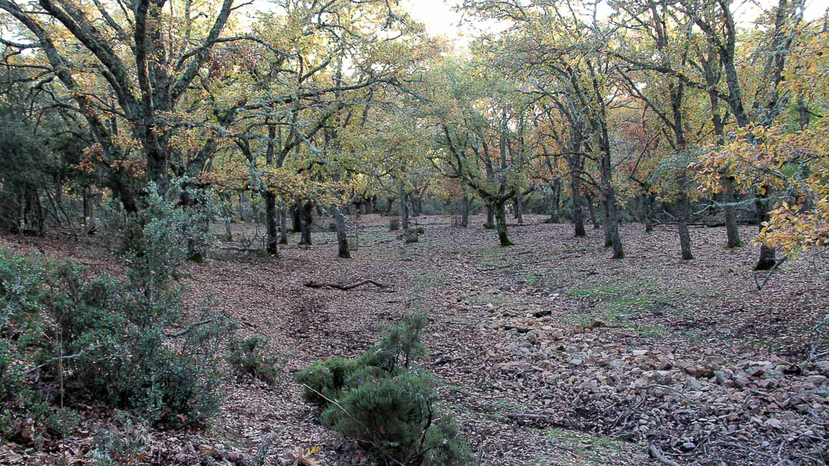 noticias castilla-la mancha