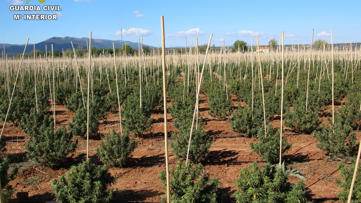 noticias castilla-la mancha