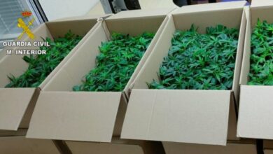 noticias castilla-la mancha