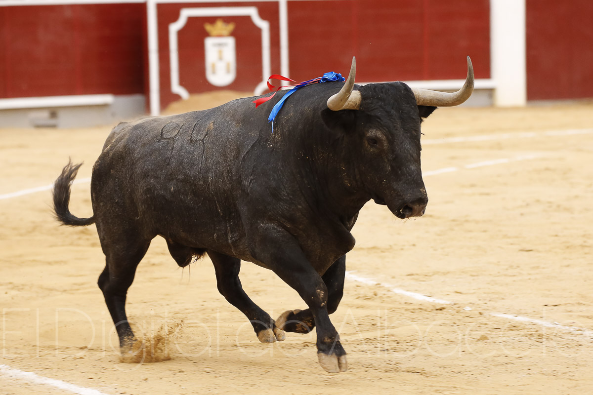 Rubén Pinar y Sergio Serrano triunfaron ante los Victorinos en la Plaza de Toros de Albacete