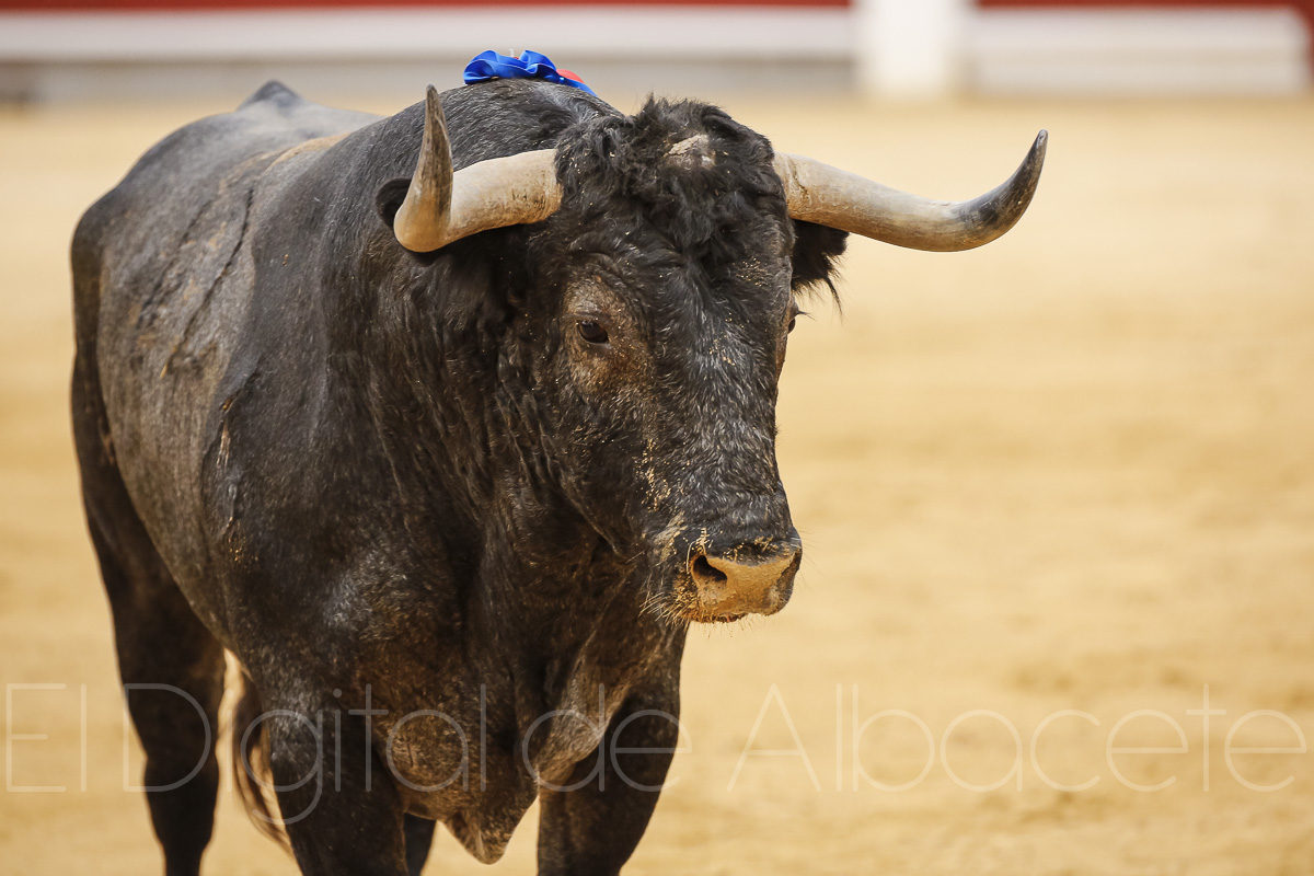 Rubén Pinar y Sergio Serrano triunfaron ante los Victorinos en la Plaza de Toros de Albacete