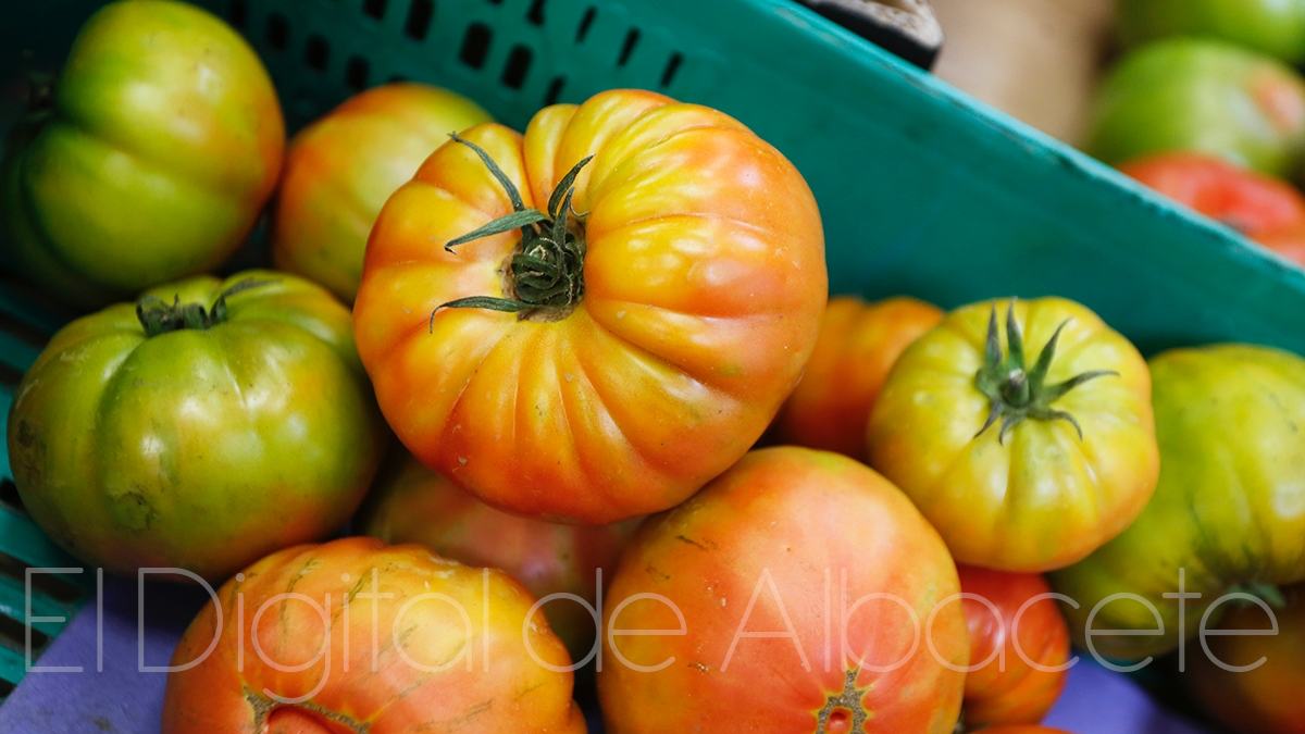 noticias albacete