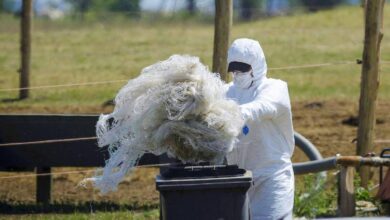 Noticias Castilla-La Mancha