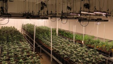 noticias castilla-la mancha