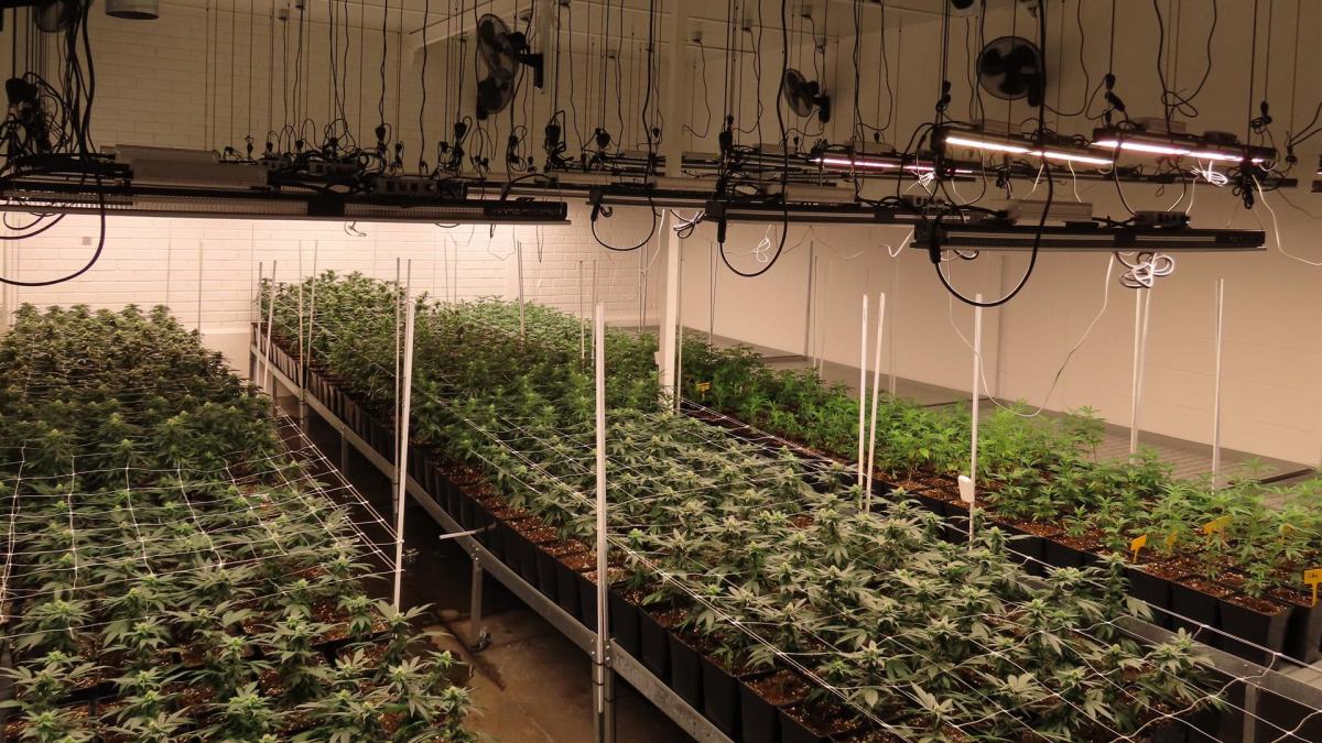 noticias castilla-la mancha