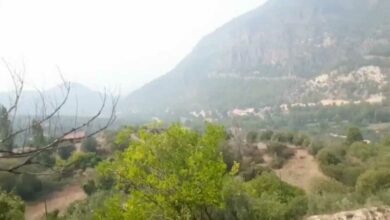 El humo del terrible incendio forestal de Málaga llega a Albacete