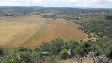 noticias castilla-la mancha