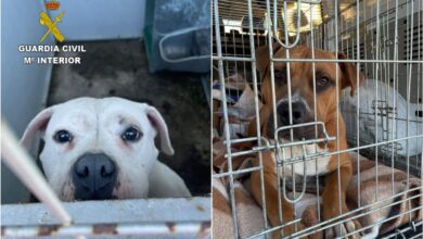 Noticias Castilla-La Mancha