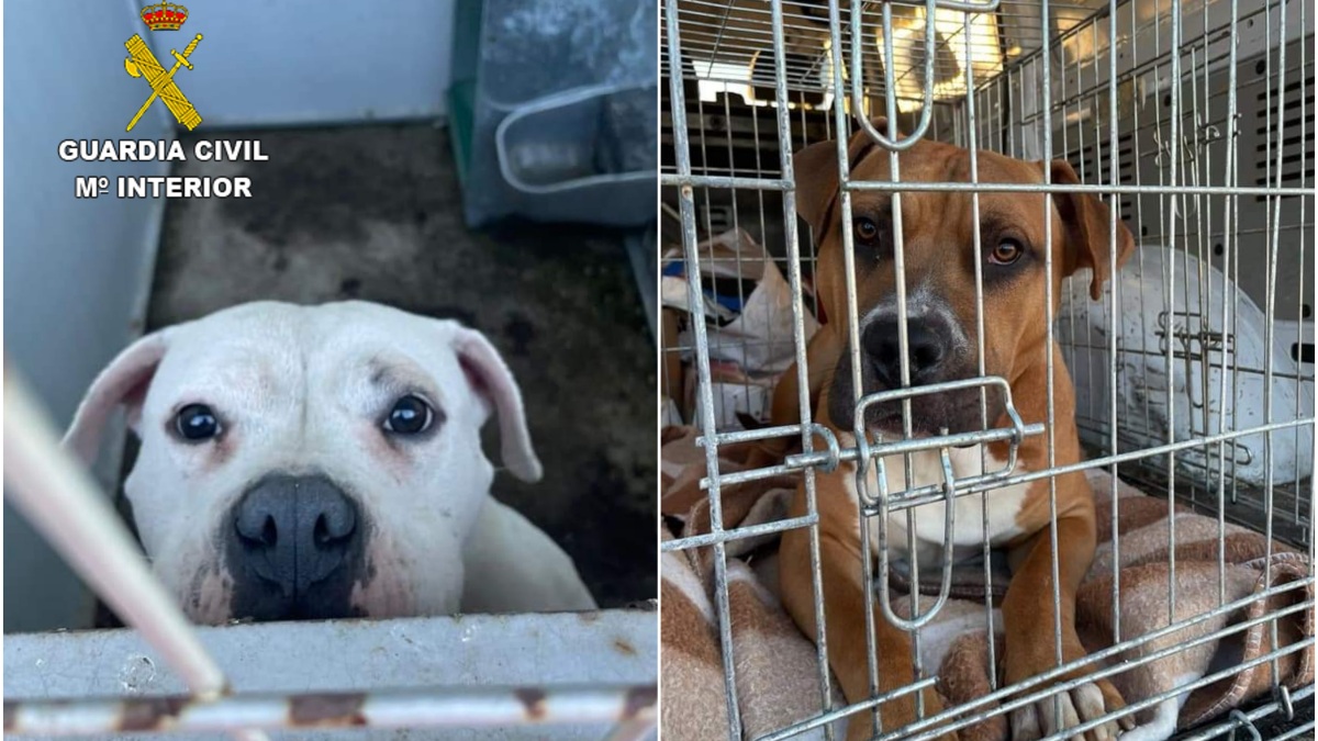 Noticias Castilla-La Mancha