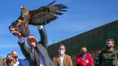 García-Page libera un ave