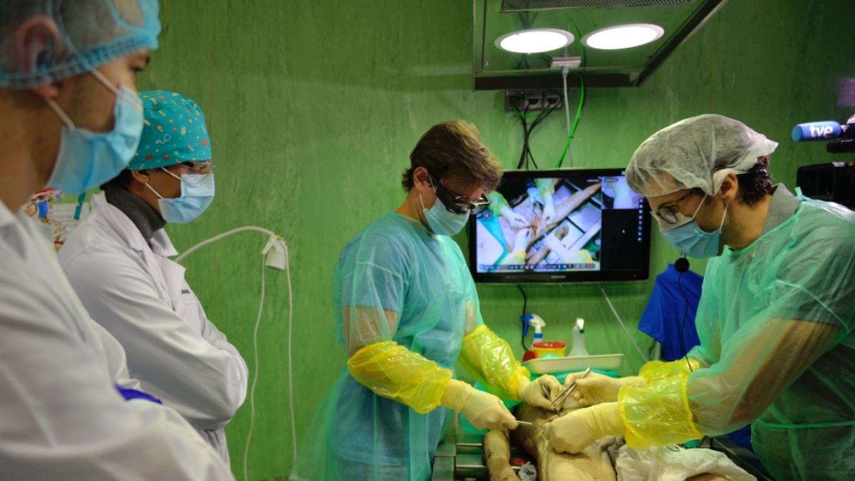 Noticias Castilla-La Mancha