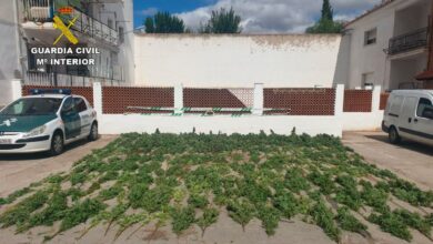 Noticias castilla-la mancha