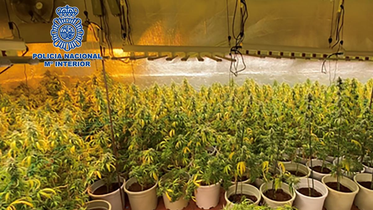 noticias castilla-la mancha