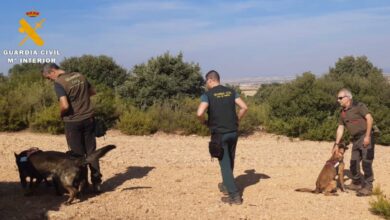 La Guardia Civil busca veneno en Albacete