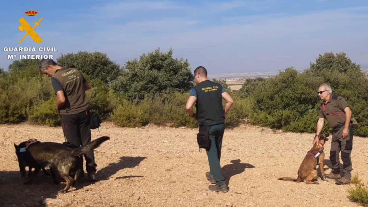 La Guardia Civil busca veneno en Albacete