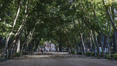 Parque Abelardo Sánchez de Albacete