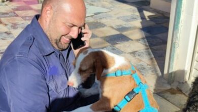 Equipo de Rescates del Arca de Noé, junto a su familia y muchos voluntarios logran poner a salvo a Sirio