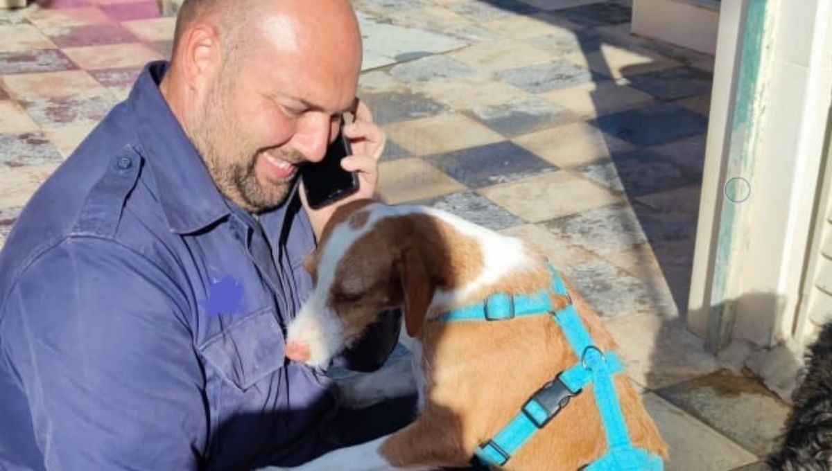 Equipo de Rescates del Arca de Noé, junto a su familia y muchos voluntarios logran poner a salvo a Sirio