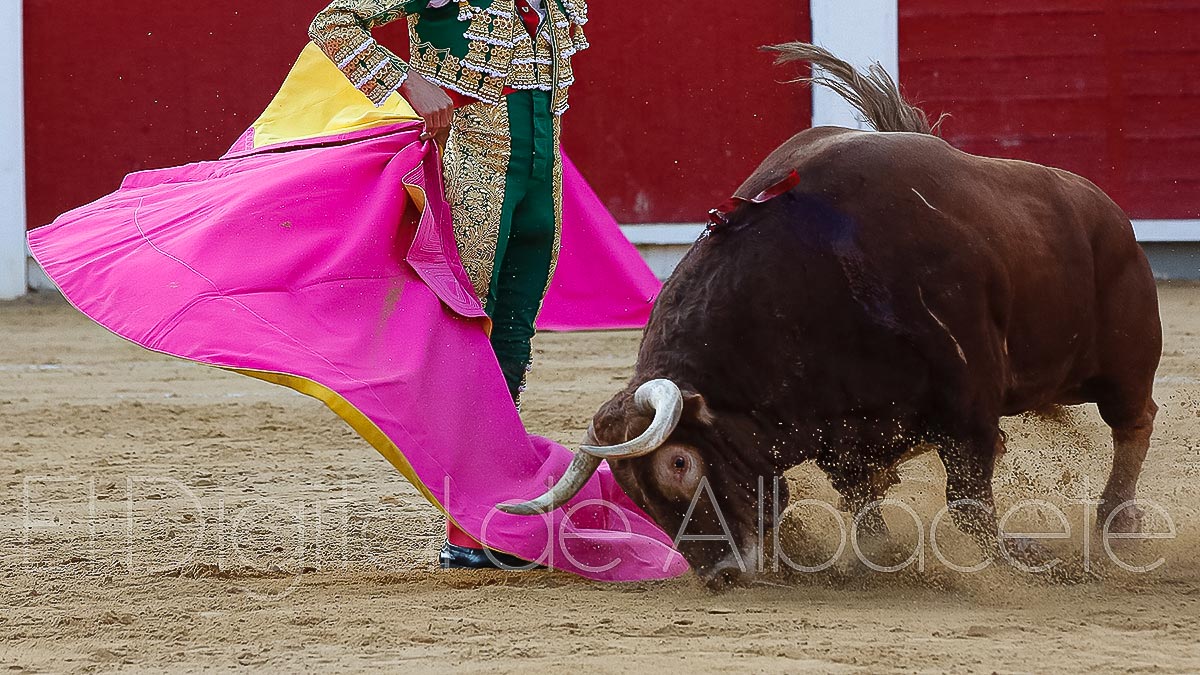 Toros en la Plaza de Albacete