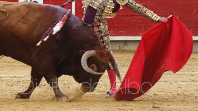 Corrida de toros en Albacete / Imagen de archivo