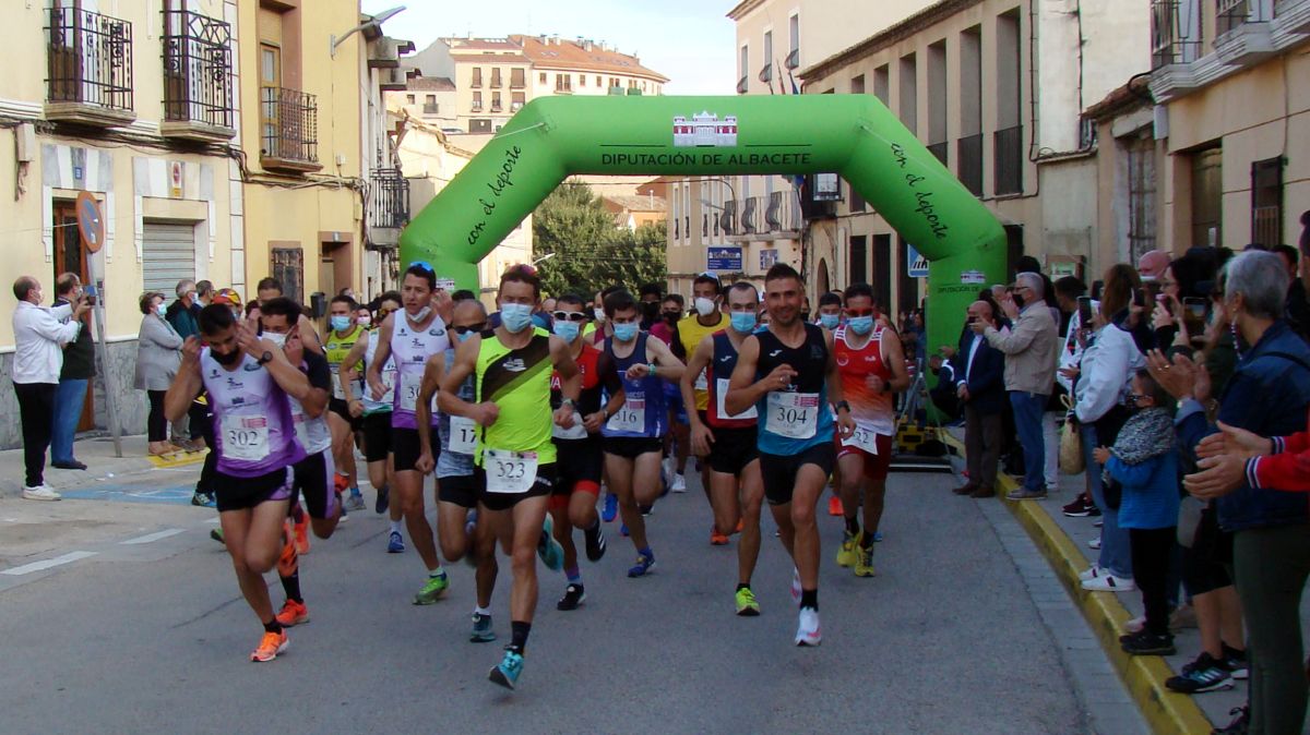 carrera chinchilla