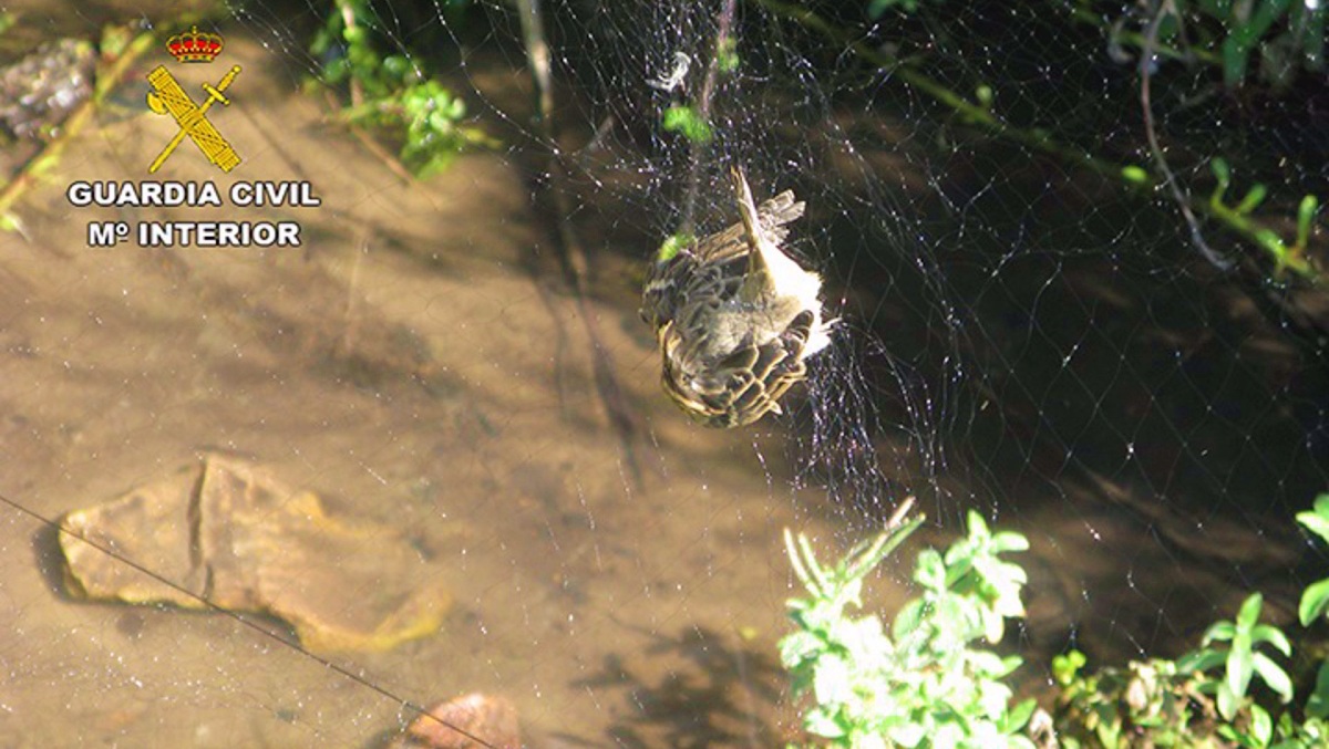 Noticias Castilla-La Mancha