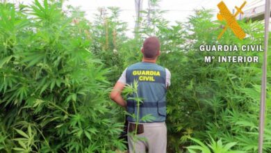 Guardia Civil marihuana