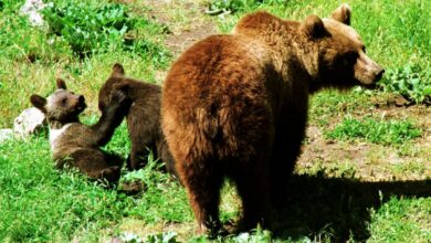 Noticias Castilla-La Mancha