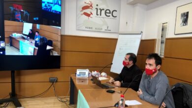 Monitorización Fauna Silvestre IREC