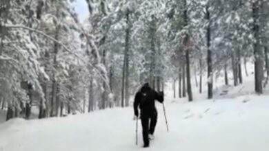 Nieve en la provincia de Albacete