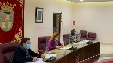 Consejo Municipal de la Discapacidad de Albacete