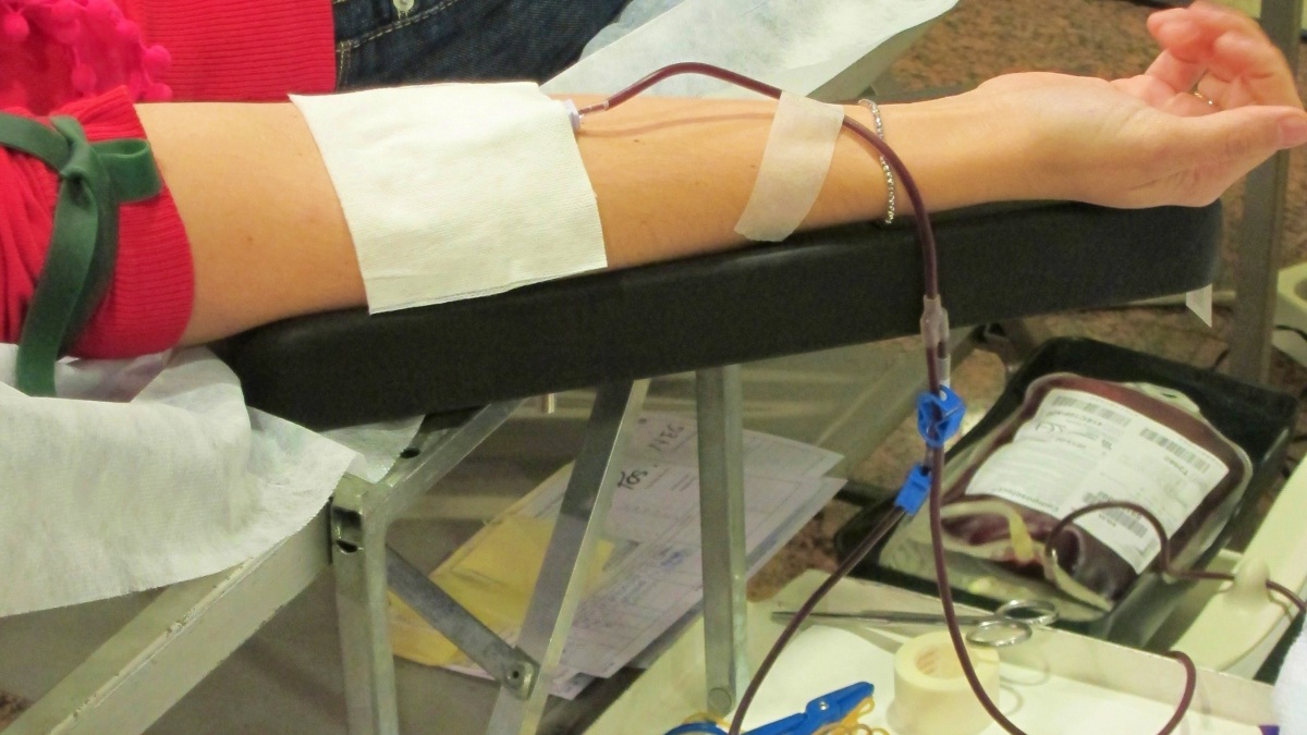 Foto de archivo: Donante de sangre
