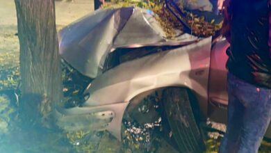 Así quedó el coche tras el brutal impacto contra el árbol en Albacete