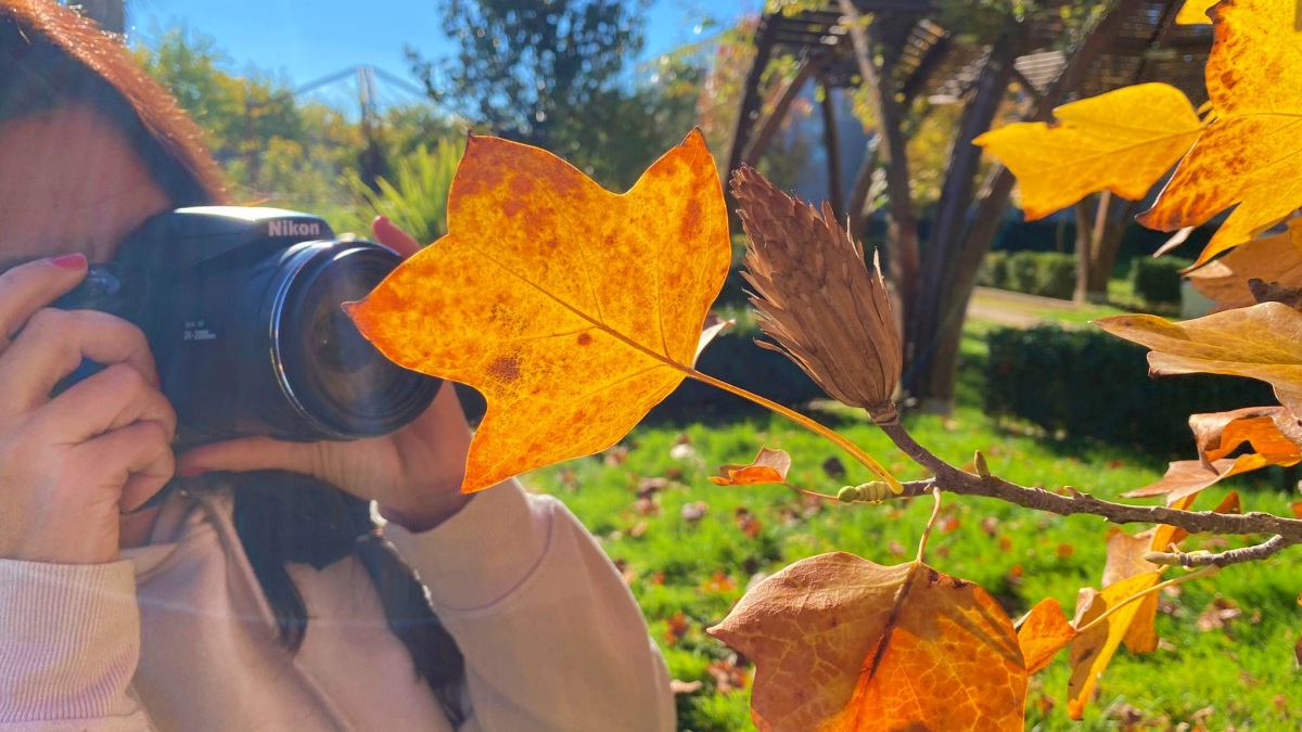 Concurso fotográfico en Albacete