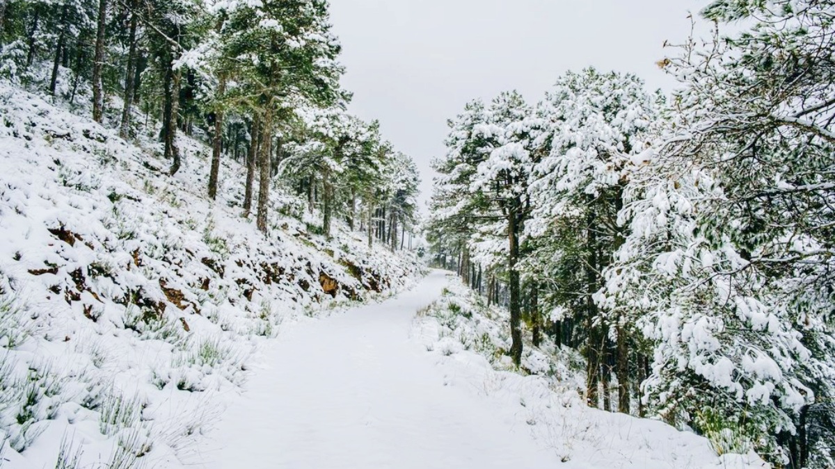 La nieve podría teñir de blanco algunos puntos de la provincia de Albacete