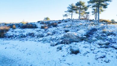 La nieve hizo acto de presencia este lunes en la provincia de Albacete